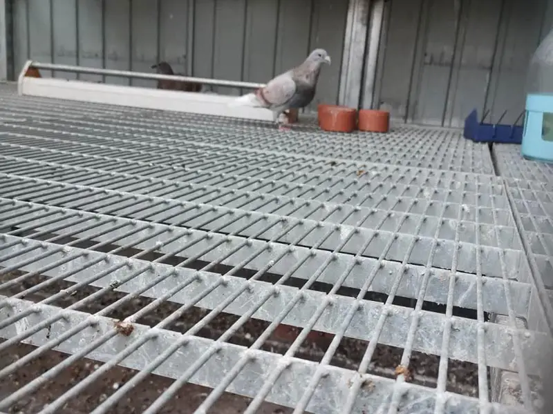 鸽舍钢格板